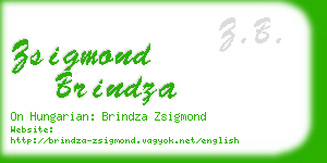 zsigmond brindza business card